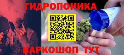 индика Малоярославец