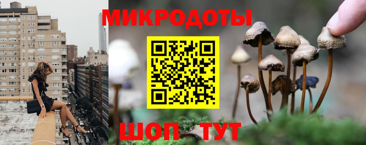Псилоцибиновые грибы Cubensis  цена наркотик  Саров  Вход с VPN 